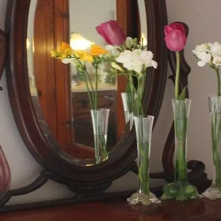 Couette-café Acucena Vintage 3*